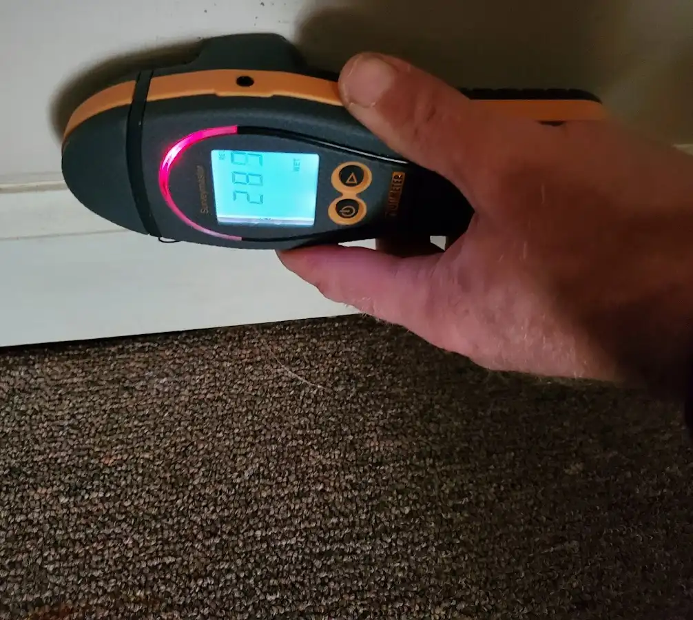 Moisture detection at baseboard during Mold Inspection & Testing in Running Springs