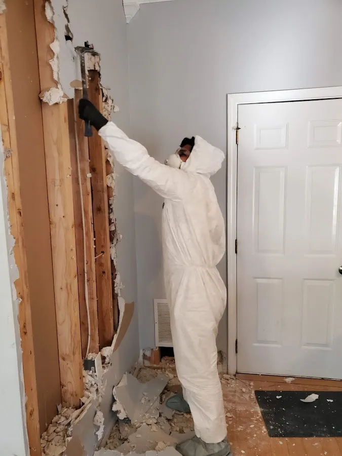 Emergency Water Damage Services in Running Springs, CA